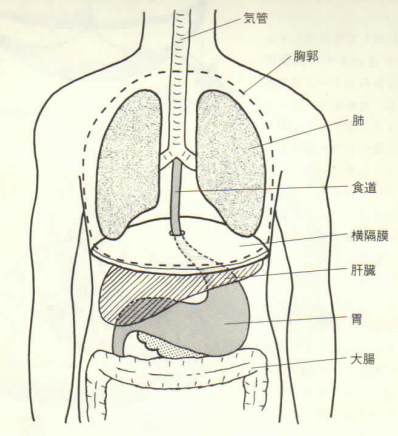 発声 腹式呼吸