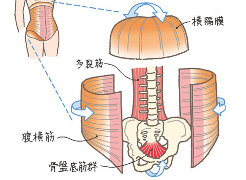 ボイトレ　自然治癒力　腹式呼吸　メリット