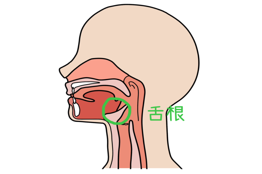 声　ストレッチ2