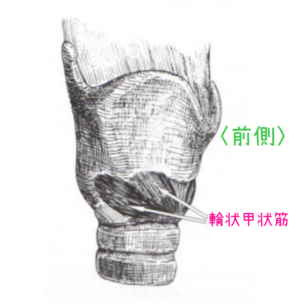 地声　裏声