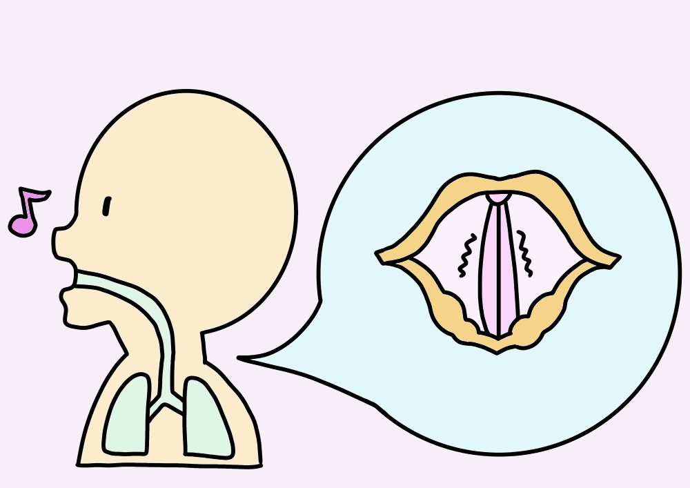 声　声帯